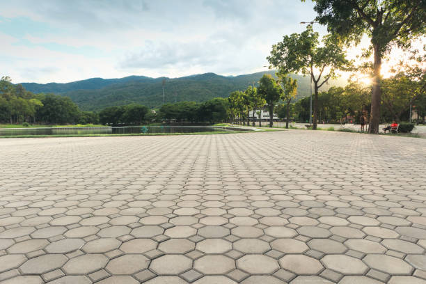 Best Local Driveway Pavers  in Lemoore, CA